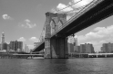 New York (5)